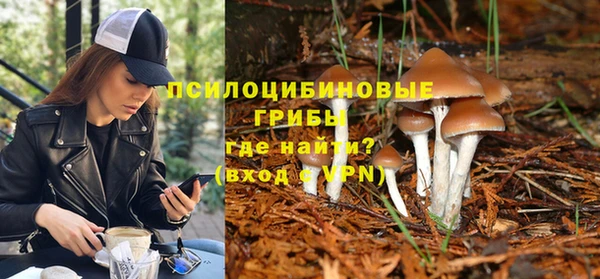 ГАЛЛЮЦИНОГЕННЫЕ ГРИБЫ Баксан