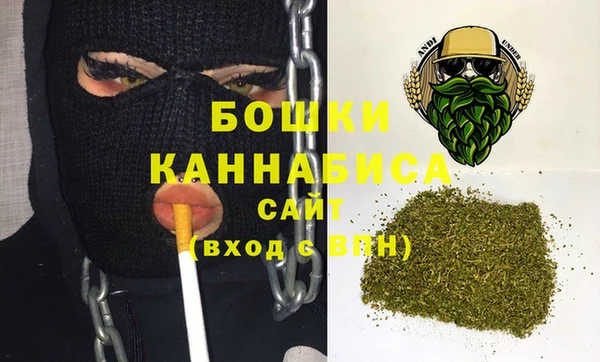 индика Балабаново
