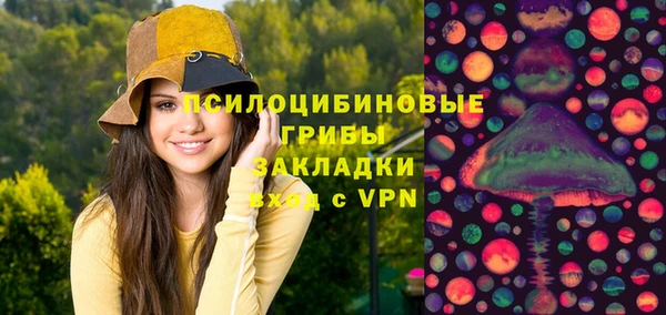 индика Балабаново