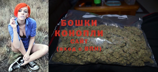 ГАЛЛЮЦИНОГЕННЫЕ ГРИБЫ Баксан