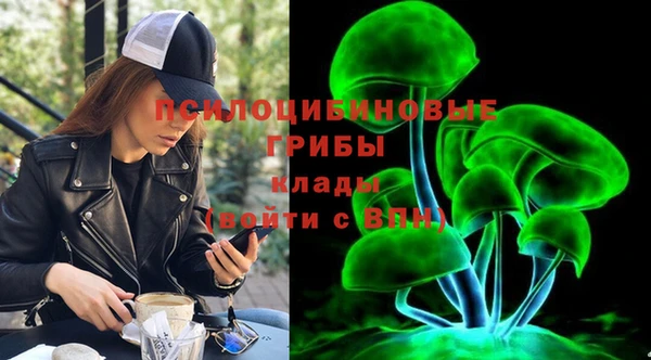 индика Балабаново