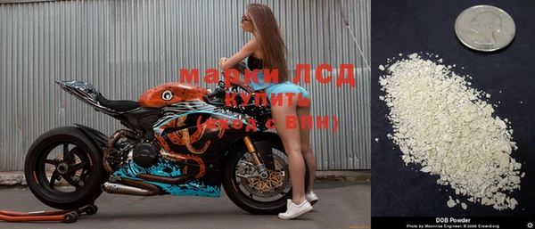 индика Балабаново