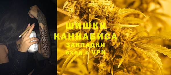 ГАЛЛЮЦИНОГЕННЫЕ ГРИБЫ Баксан