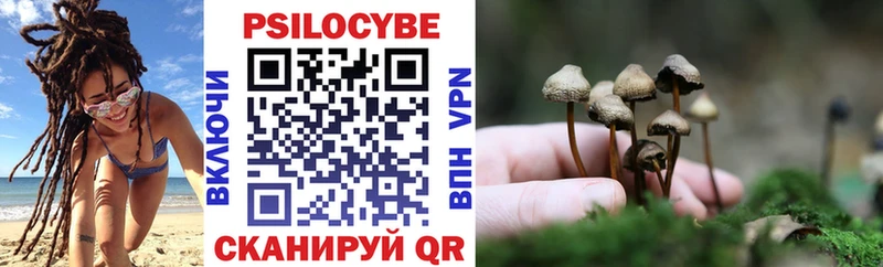 купить Заволжье Галлюциногенные грибы MAGIC MUSHROOMS